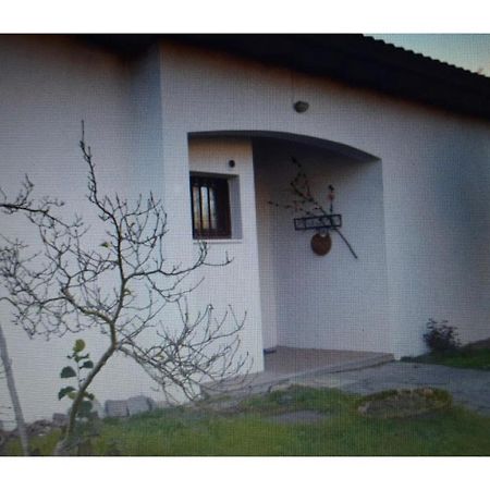 Appartamento In Villa Con Giardino A 300M Dal Lago Maggiore Castelletto sopra Ticino Exteriör bild